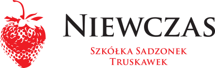 Niewczas - sadzonki truskawek - logo