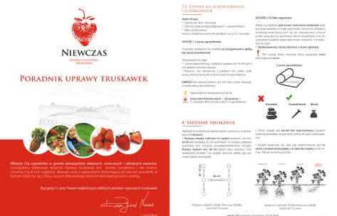 Strawberry Growing Guide