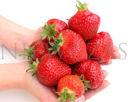 Bardzo wczesne truskawki - Zielone (30 szt.)