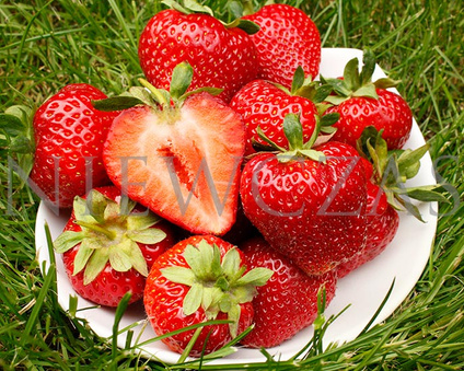 Bardzo wczesne truskawki - Zielone (30 szt.)