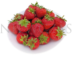 Vibrant bardzo wczesne - Zielone (10 szt.)