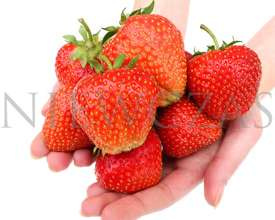 Stare odmiany truskawek - Zielone (30 szt.)