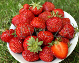 Smak Polskich Truskawek - Zielone (30 szt.)