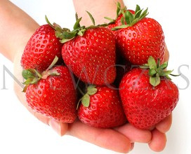 Smak Polskich Truskawek - Zielone (20 szt.)