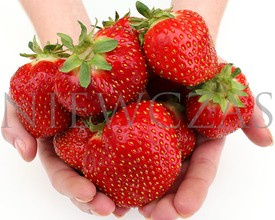 Smak Polskich Truskawek - Zielone (50 szt.)