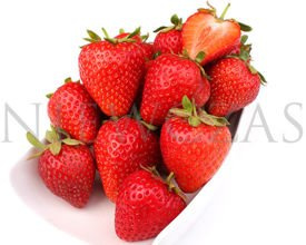 Grandarosa wyśmienita - Doniczka (10 szt.)