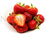 Limalexia odporna - Frigo A (10 szt.)