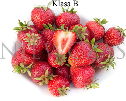 Duże truskawki - Frigo B (30 szt.)