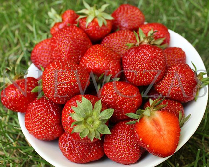Polka zapach poziomek - Frigo A- (10 szt.)