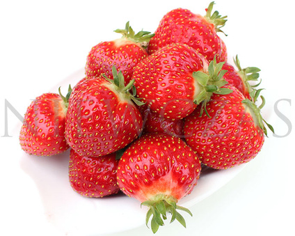 Stare odmiany truskawek - Frigo A+ (30 szt.)